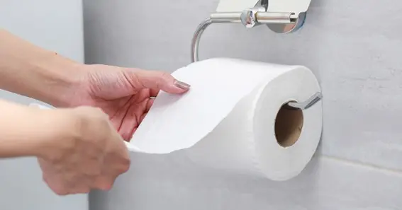 Installing The Toilet Paper Holder: Key Tips